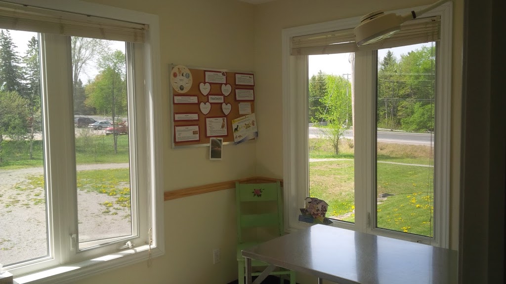 Gull River Veterinary Services | 6826 ON-35, Coboconk, ON K0M 1K0, Canada | Phone: (705) 454-1664