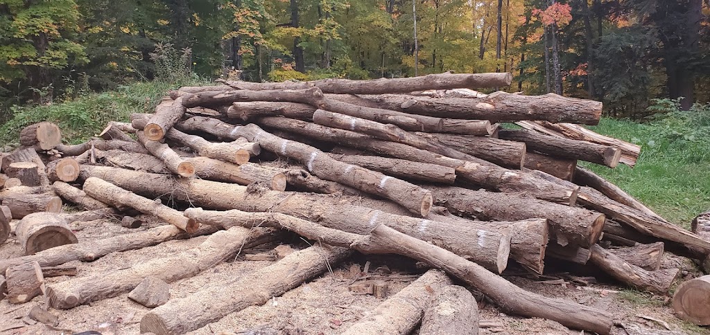 Muskoka Family Firewood | 160 White House Rd, Huntsville, ON P1H 2J3, Canada | Phone: (705) 349-0475