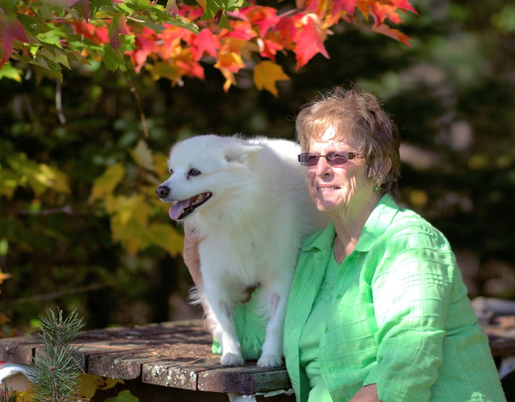 Pam Kelly Photography | 103 Ottawa Ave, South River, ON P0A 1X0, Canada | Phone: (705) 471-9014