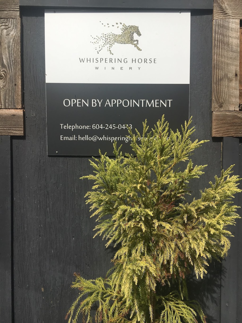 Whispering Horse Winery | 43721 Vedder Mountain Rd, Chilliwack, BC V2R 4C5, Canada | Phone: (604) 245-0443
