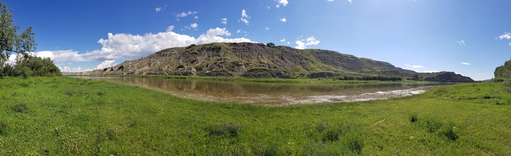 T L Bar Ranch | Highway 585, Trochu, AB T0M 2C0, Canada | Phone: (403) 442-2207