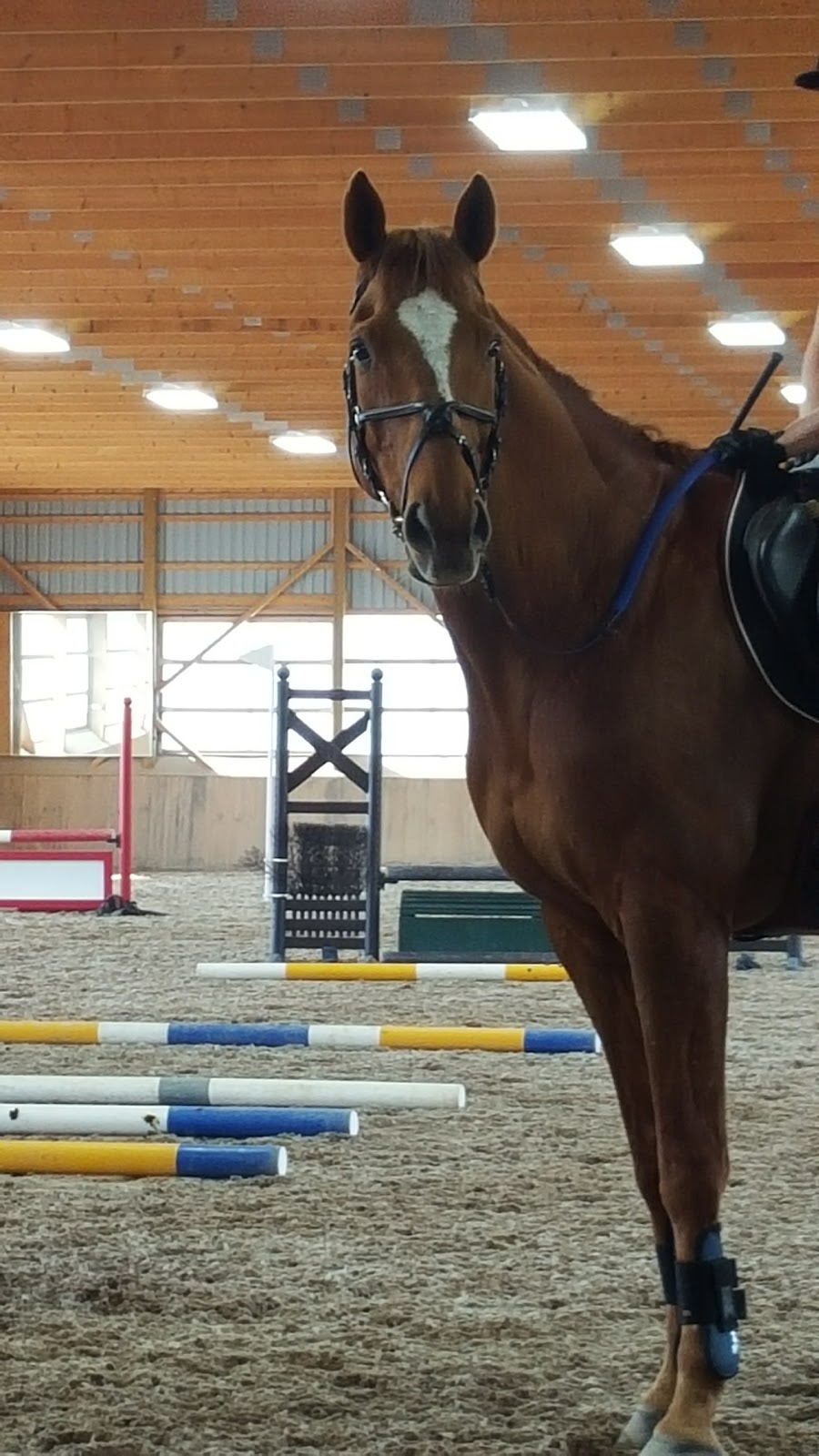 Bronte Creek Equestrian Centre | 1694 Centre Rd, Hamilton, ON L8N 2Z7, Canada | Phone: (905) 379-3855