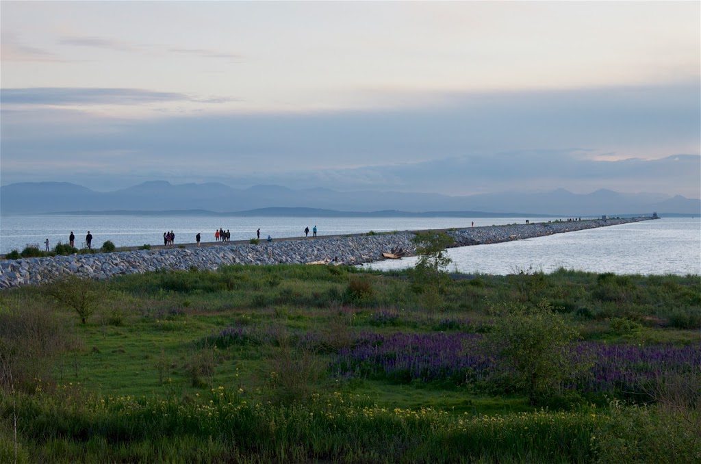 Iona Jetty | Ferguson Rd, Richmond, BC V7B 0A8, Canada