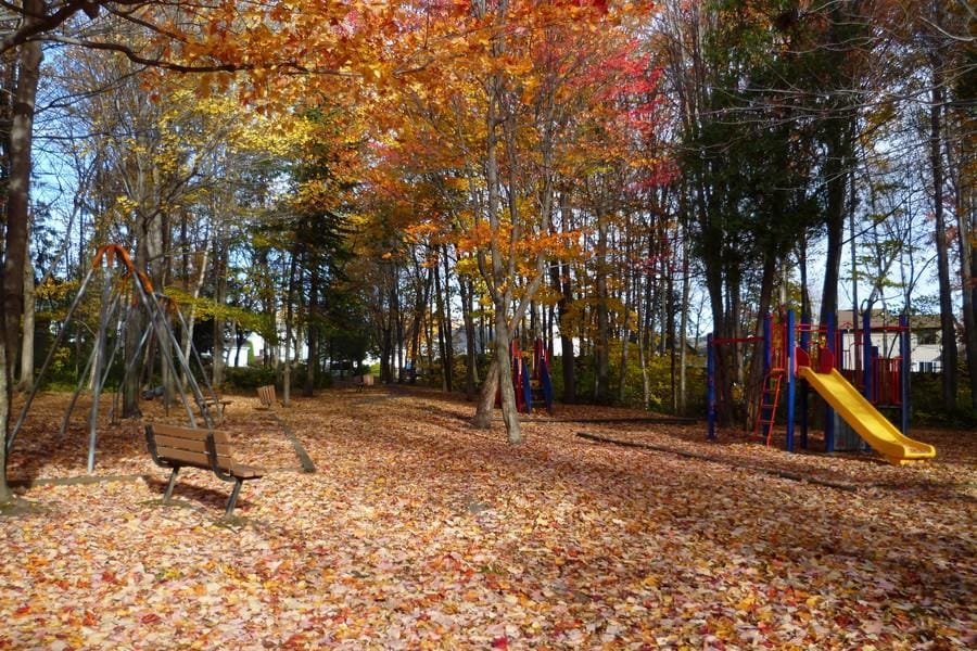 Parc de Cambrai | 5520 Rue de Cambrai, Trois-Rivières, QC G8Y 6T7, Canada | Phone: (819) 374-2002