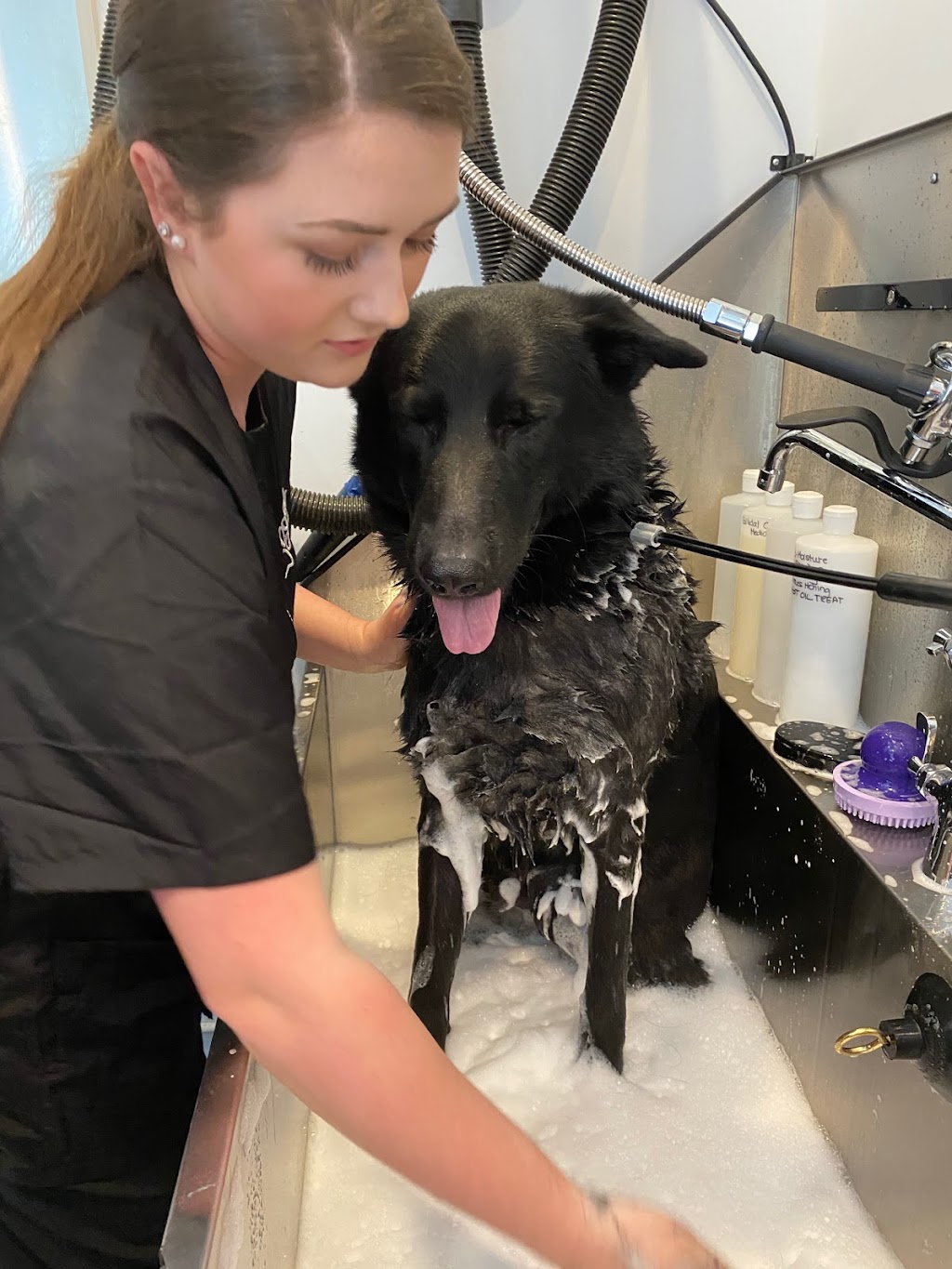 The Groomery Dog Spa | 1275 242 St, Langley, BC V2Z 1L2, Canada | Phone: (778) 246-3647