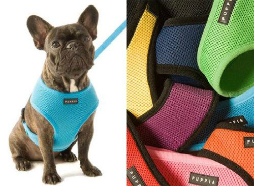 Bark Avenue by Cucciolini | 34 Kelson Ave S, Grimsby, ON L3M 4C3, Canada | Phone: (416) 407-9007