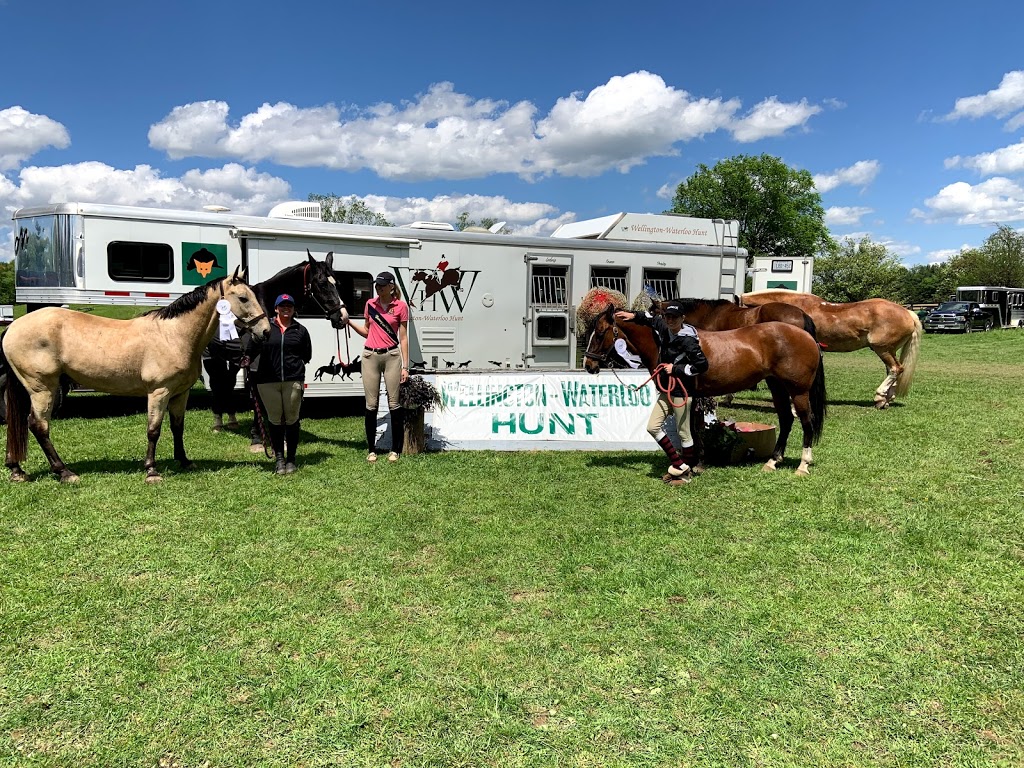 SWEETGRASS EQUESTRIAN | 13510 Fifth Line Nassagaweya, Rockwood, ON N0B 2K0, Canada | Phone: (289) 971-8778