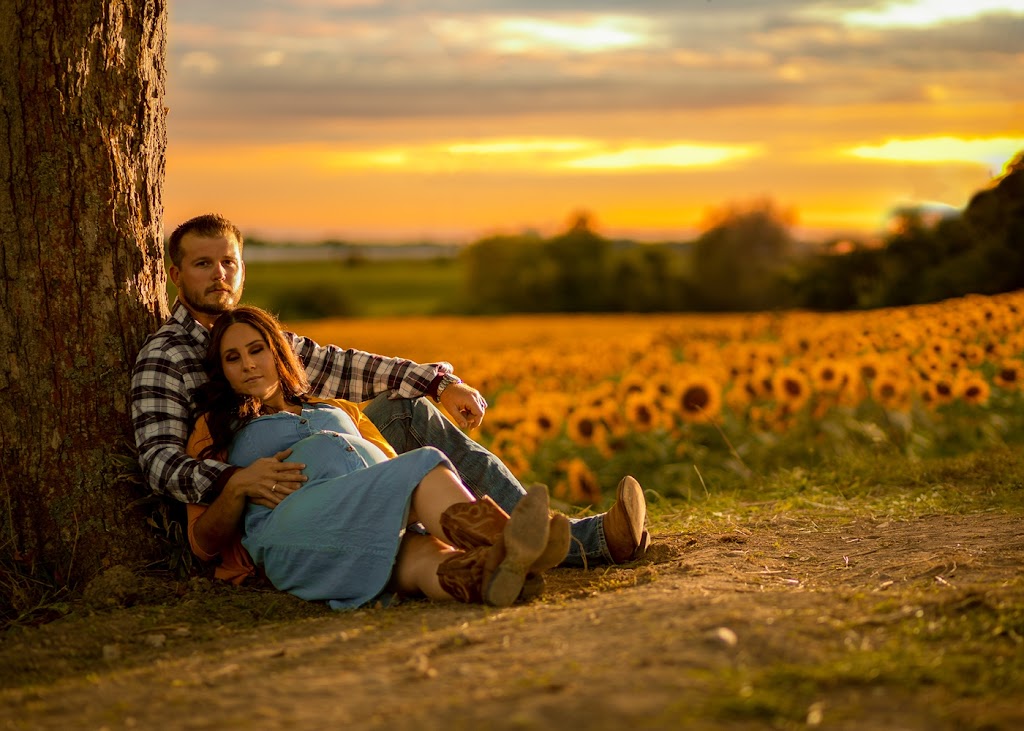 Michael Carter Photography | 183 Forhan St, Wallaceburg, ON N8A 3R5, Canada | Phone: (226) 678-0202