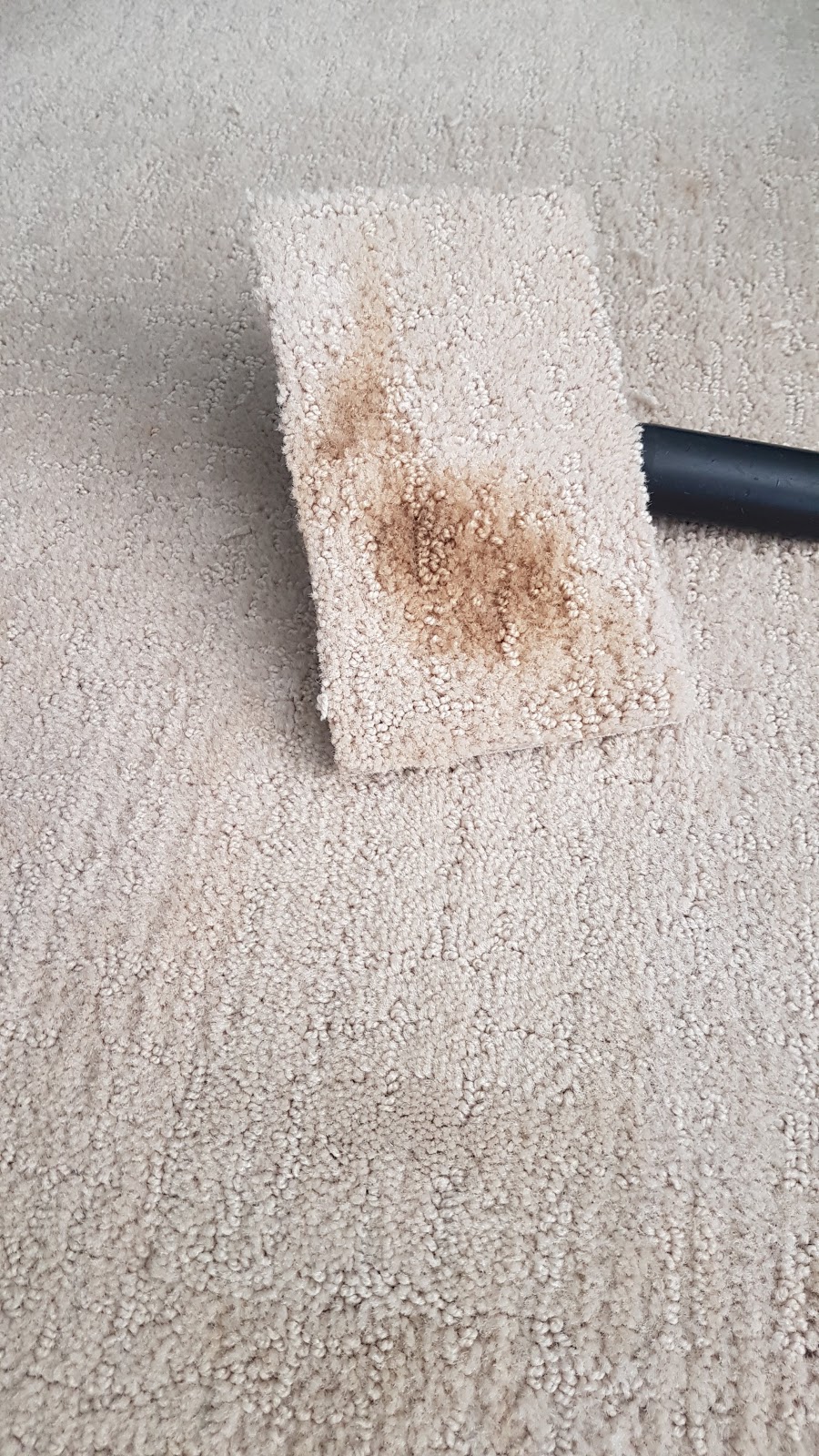 Calgary Carpet Repair, Stretching Restoration Services | 210 86 Ave SE, Calgary, AB T2H 1N6, Canada | Phone: (403) 613-7653