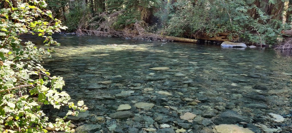 Little Qualicum Falls Trail Local Access | 1430-1556 Meadowood Way, Qualicum Beach, BC V9K 2S3, Canada | Phone: (250) 268-3694