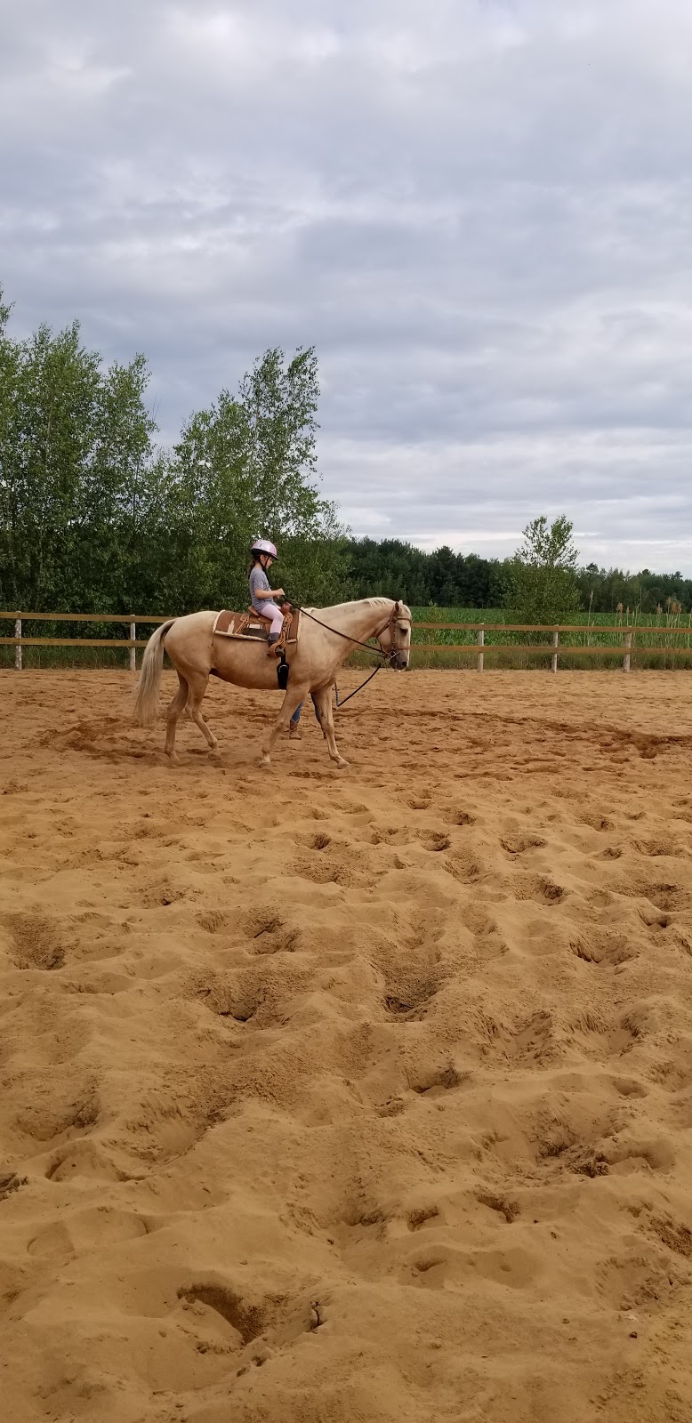 Equestrian Center La Brunante | Saint-Célestin, QC, Canada | Phone: (819) 691-7377