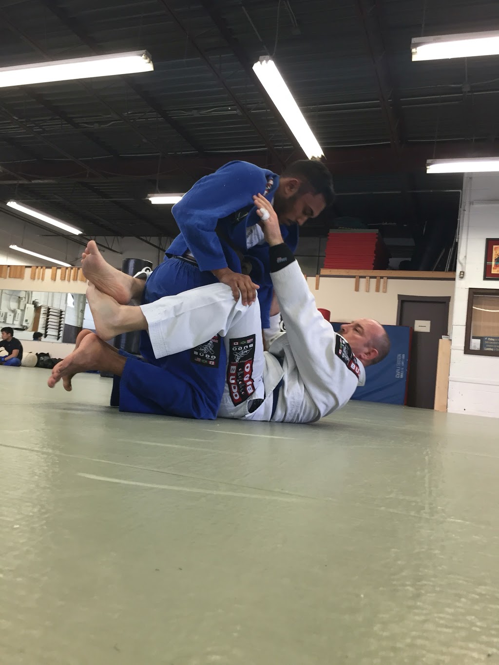 Bushido Jiu Jitsu and MMA | 5100 Maingate Dr #1, Mississauga, ON L4W 1X6, Canada | Phone: (416) 729-0202