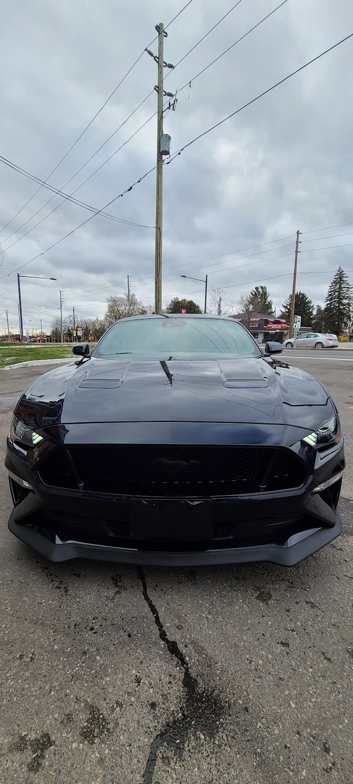 GT Auto Styling Montreal | 548 Av. Cypress, Beaconsfield, QC H9W 3V5, Canada | Phone: (416) 903-2006