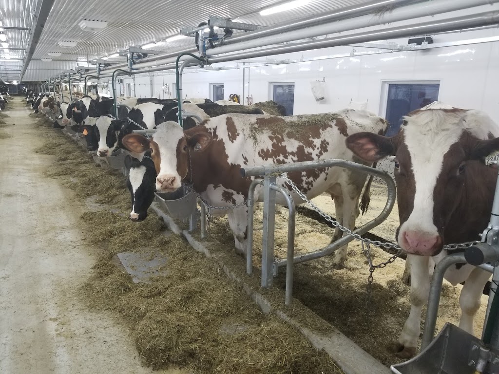 Centre DInsemination | 640 9e Rang, Saint-Benoît-Labre, QC G0M 1P0, Canada | Phone: (418) 228-4971