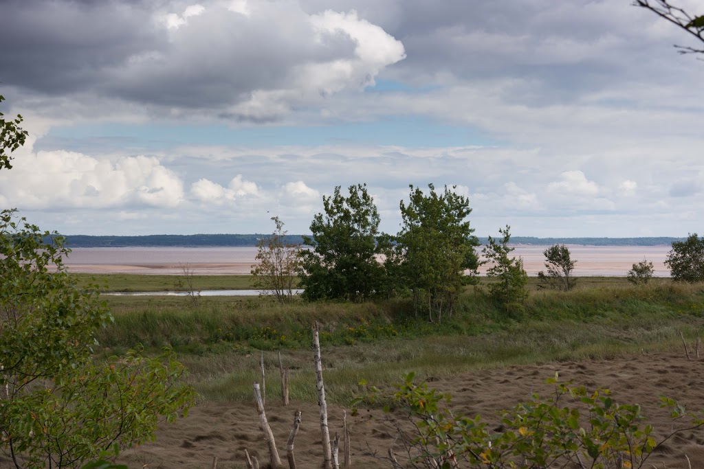 Ponderosa Pines Campground | 4325 NB-114, Lower Cape, NB E4H 3P1, Canada | Phone: (800) 822-8800