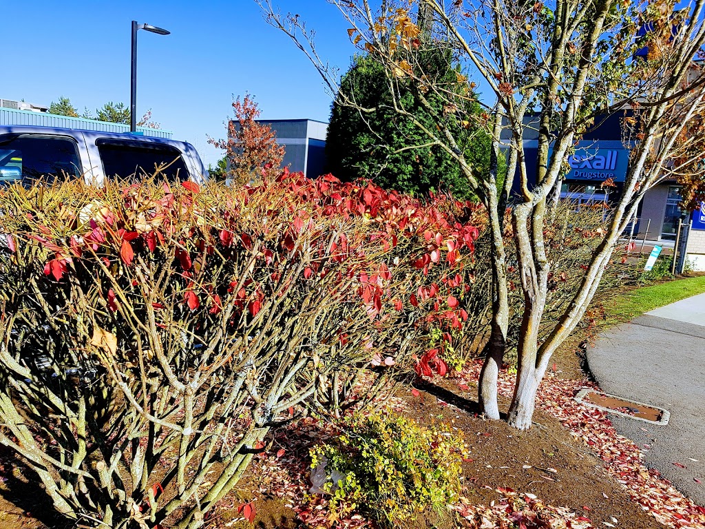 Colwood Medical Treatment Centre | 1910 Sooke Rd, Victoria, BC V9B 1V7, Canada | Phone: (250) 478-8833