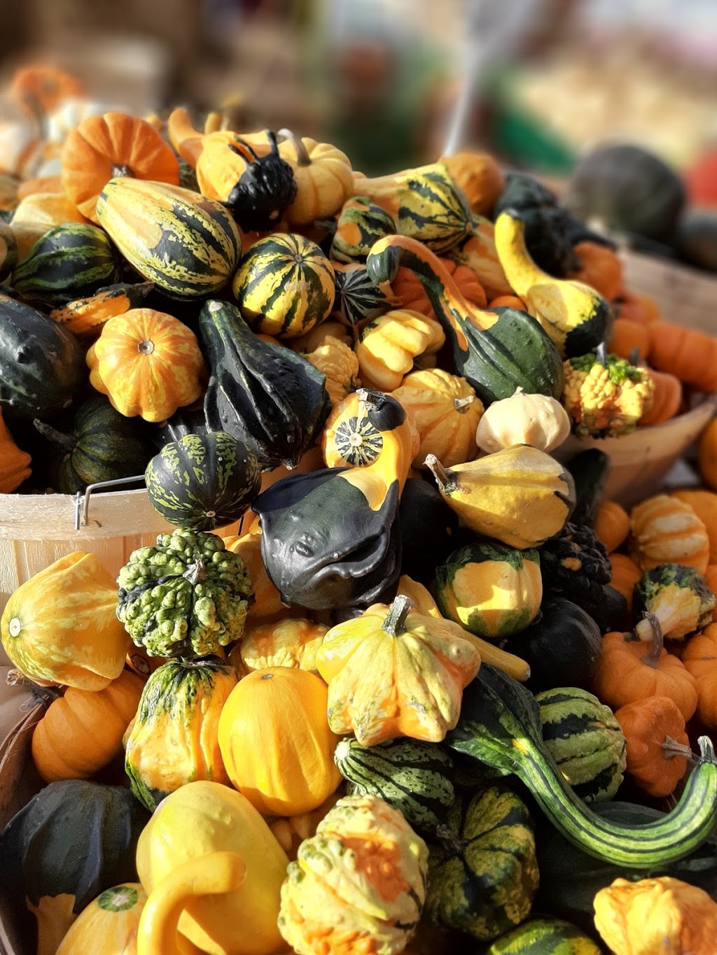 Niagara Quality Fruit | 667 Regional Rd 87, Niagara-on-the-Lake, ON L0S 1J0, Canada | Phone: (905) 347-3700