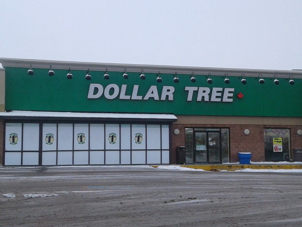 Dollar Tree | 320 Yonge St, Barrie, ON L4N 4C8, Canada | Phone: (705) 797-1555