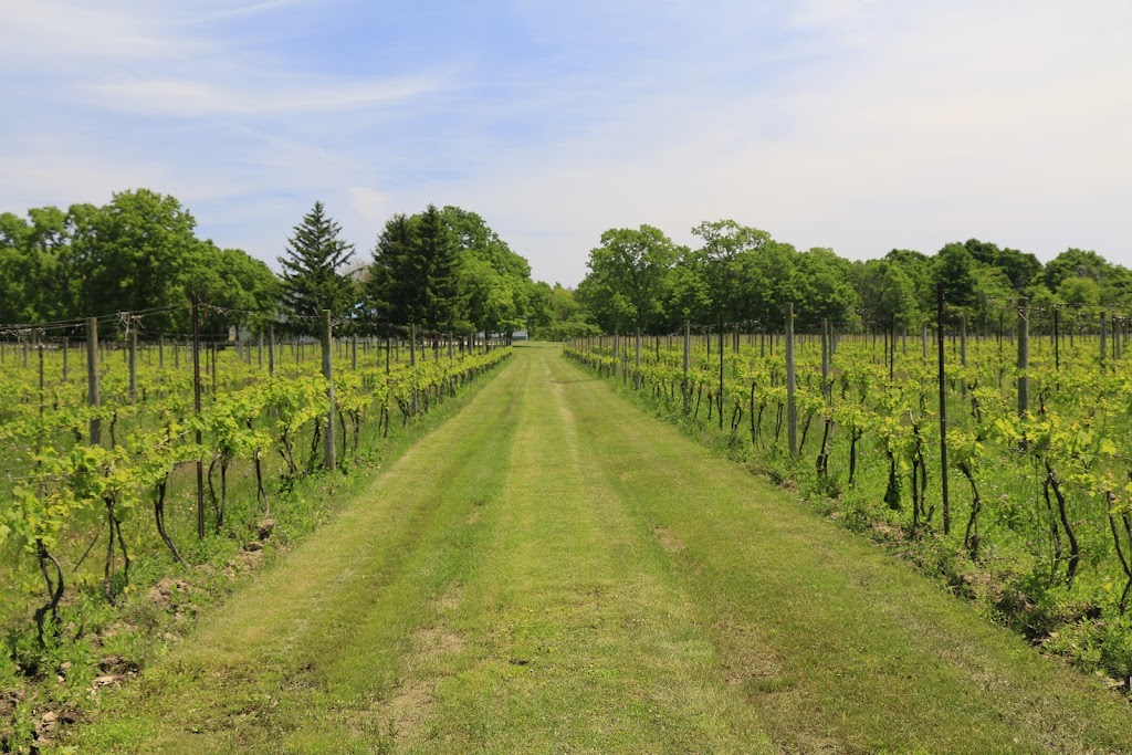 Pelee Island Winery Pavilion | 20 East West Rd, Pelee Island, ON N0R 1M0, Canada | Phone: (519) 724-2469