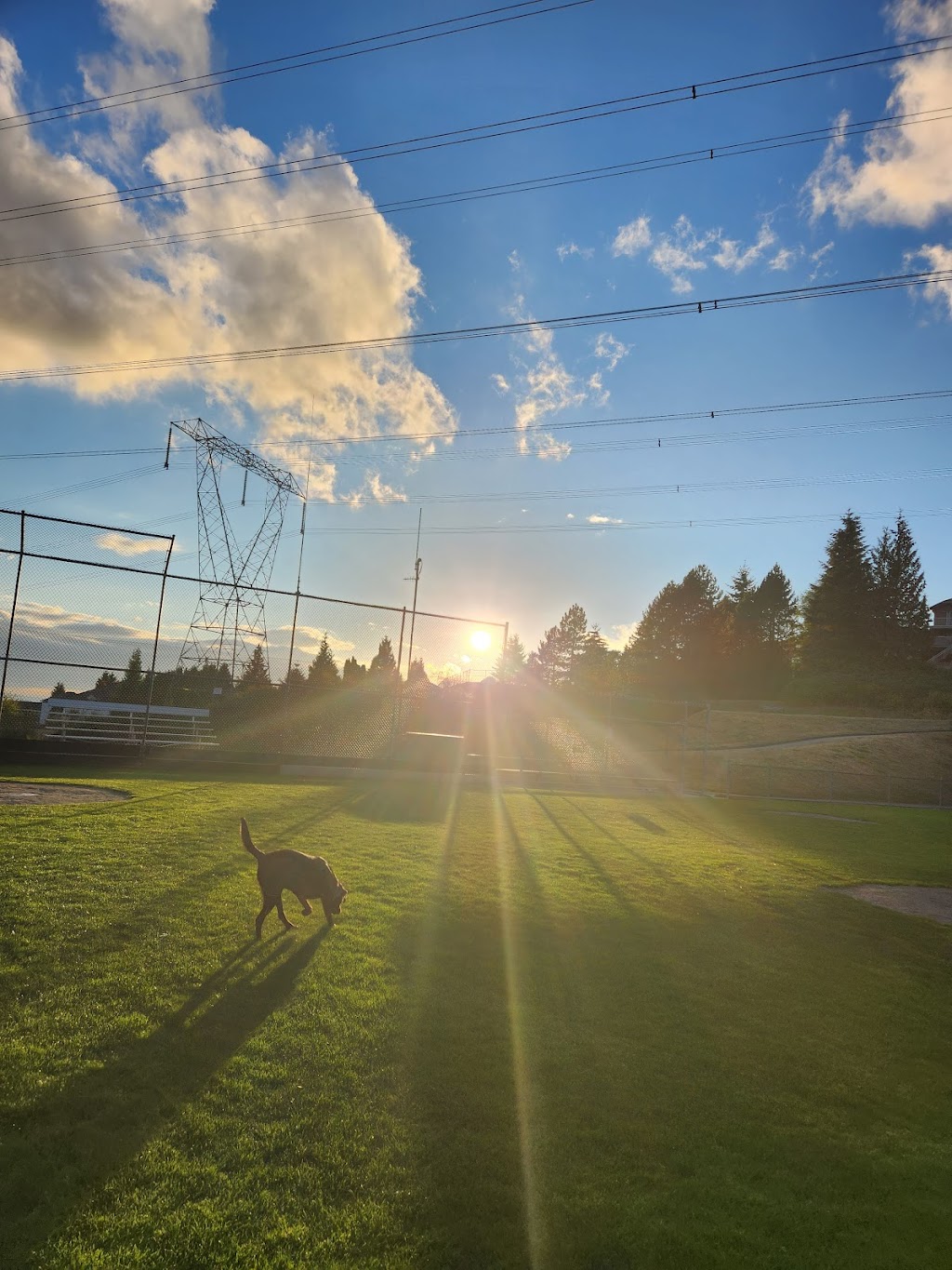 Bramble Park | 2775 Panorama Dr, Coquitlam, BC V3E 2T7, Canada | Phone: (604) 927-6300