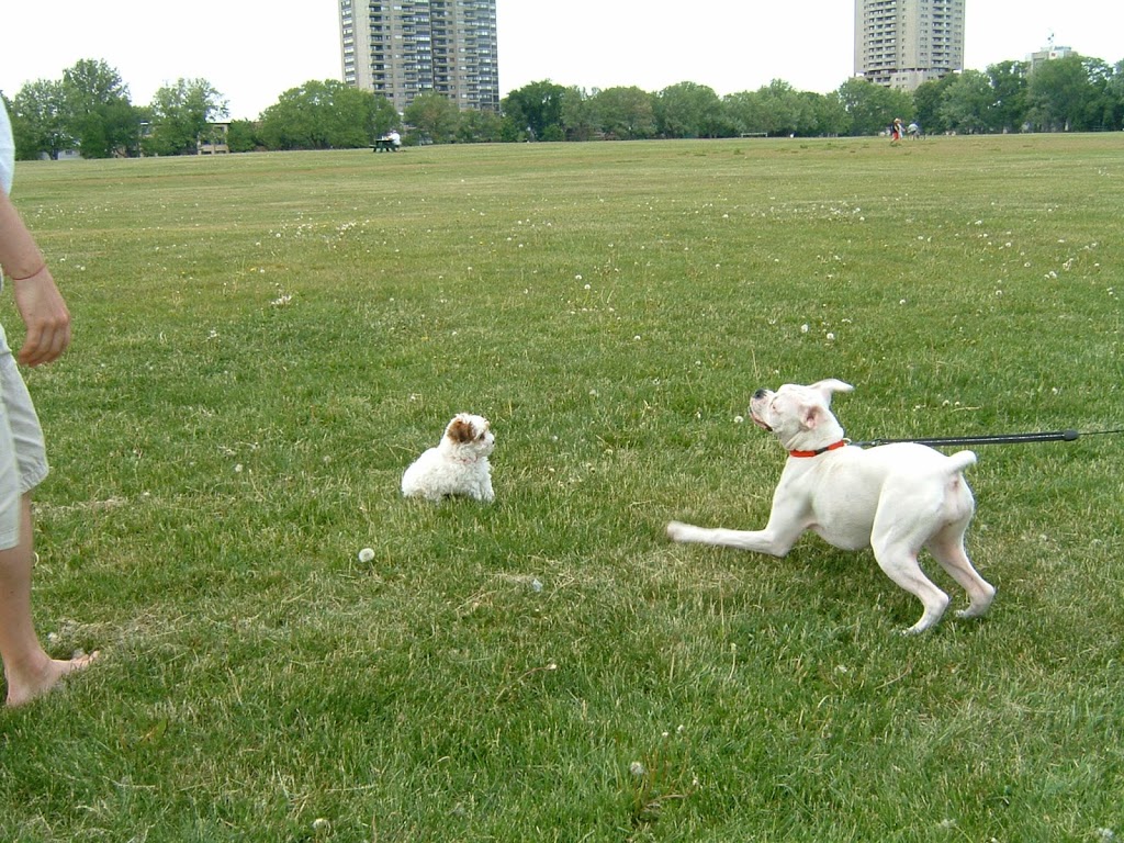 The Battlefields Park | 835 Avenue Wilfrid-Laurier, Québec, QC G1R 2L3, Canada | Phone: (418) 649-6157