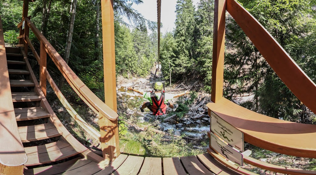 Treetop Flyers | 305 Brooke Dr, Chase, BC V0E 1M0, Canada | Phone: (866) 343-6761