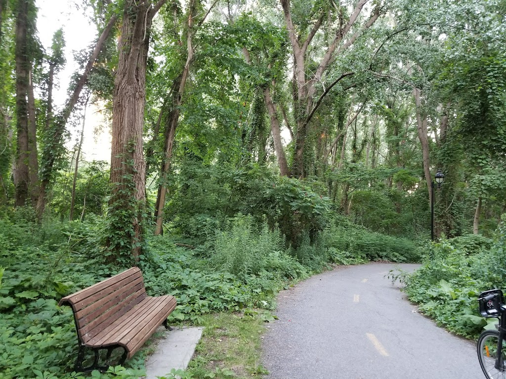 Maynard-Ferguson | Chemin de la Pointe-Sud, Verdun, QC H3E 0A6, Canada