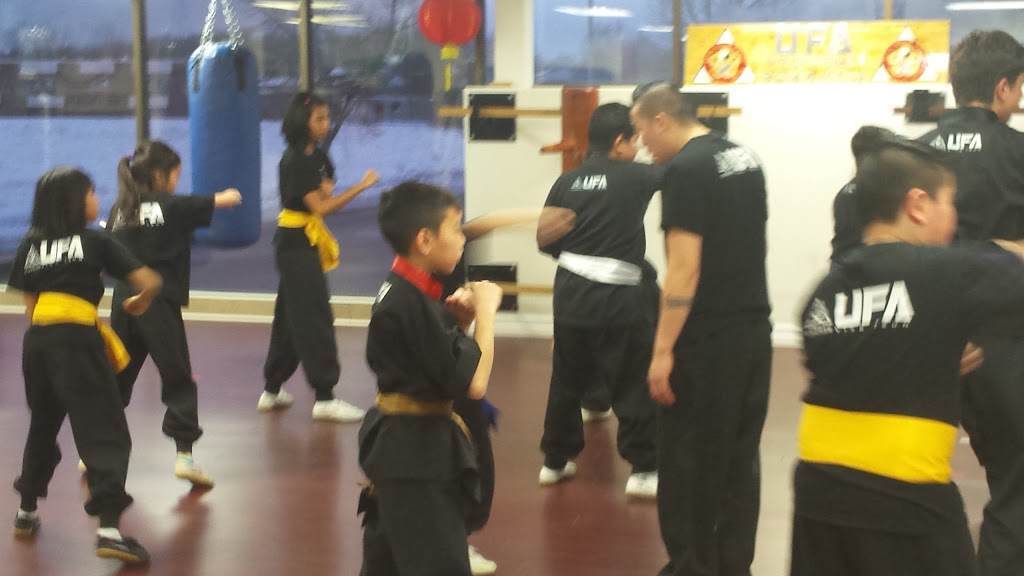 UFA Ving Tsun Martial Arts | 1050 Paramount Dr, Stoney Creek, ON L8J 1P8, Canada | Phone: (905) 296-5674