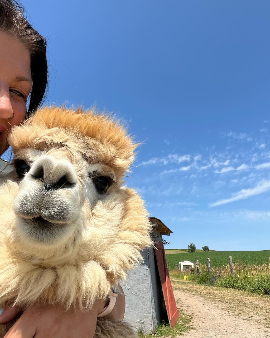 FitKitty Farm | 756 County Rd 35, Campbellford, ON K0L 1L0, Canada | Phone: (705) 768-6663