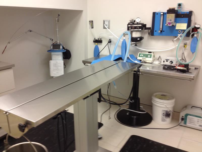 Clinique Vétérinaire Bellefeuille | 1082 Boulevard Roland-Godard, Saint-Jérôme, QC J7Y 4C6, Canada | Phone: (450) 565-0751