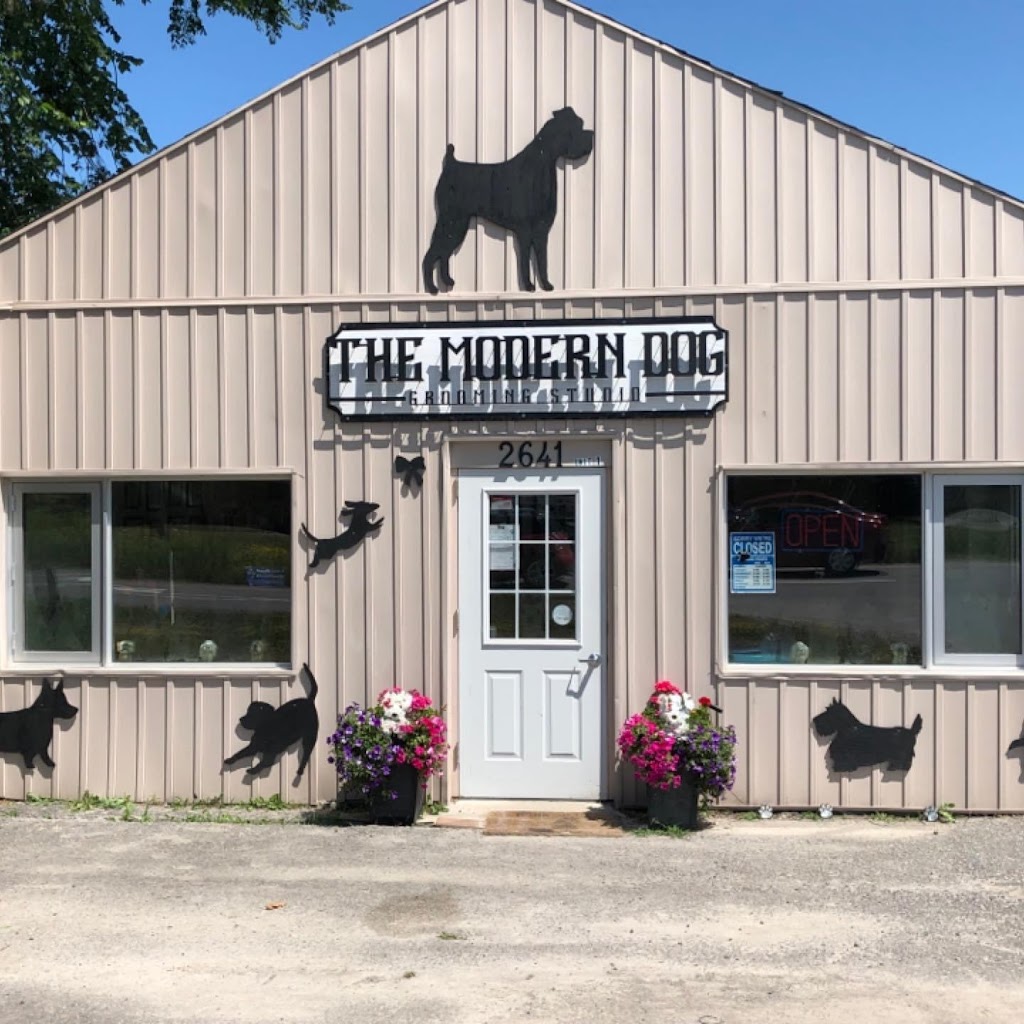 The Modern Dog Grooming Studio | point of interest | 2641 Television Rd, Peterborough, ON K9J 0G6, Canada | 7058769660 OR +1 705-876-9660