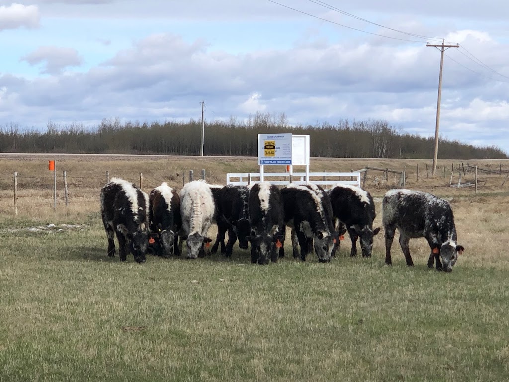 Edgeway Ranch | 544025, Hwy 834, Chipman, AB T0B 0W0, Canada | Phone: (780) 905-5096