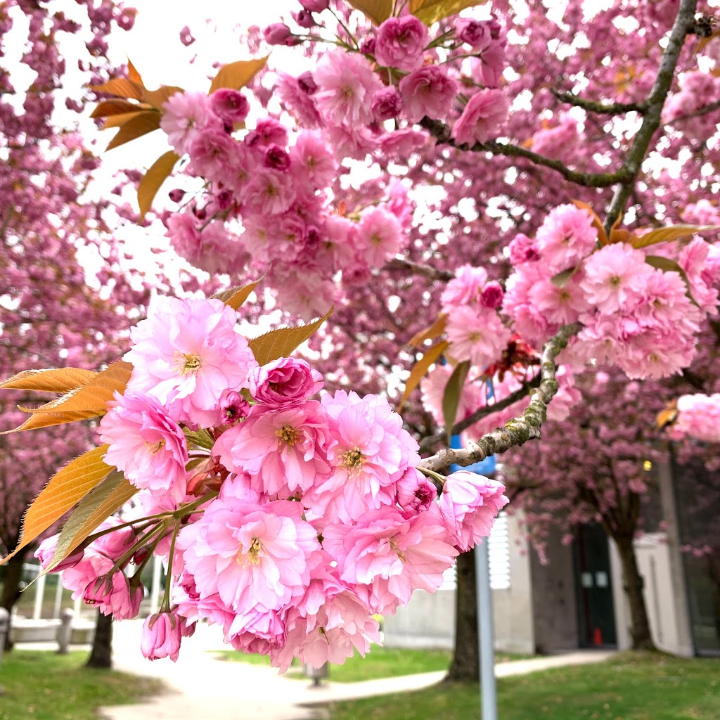 VGH Energy Centre Plaza | Fairview, Vancouver, BC V5Z 4S5, Canada | Phone: (604) 875-4111