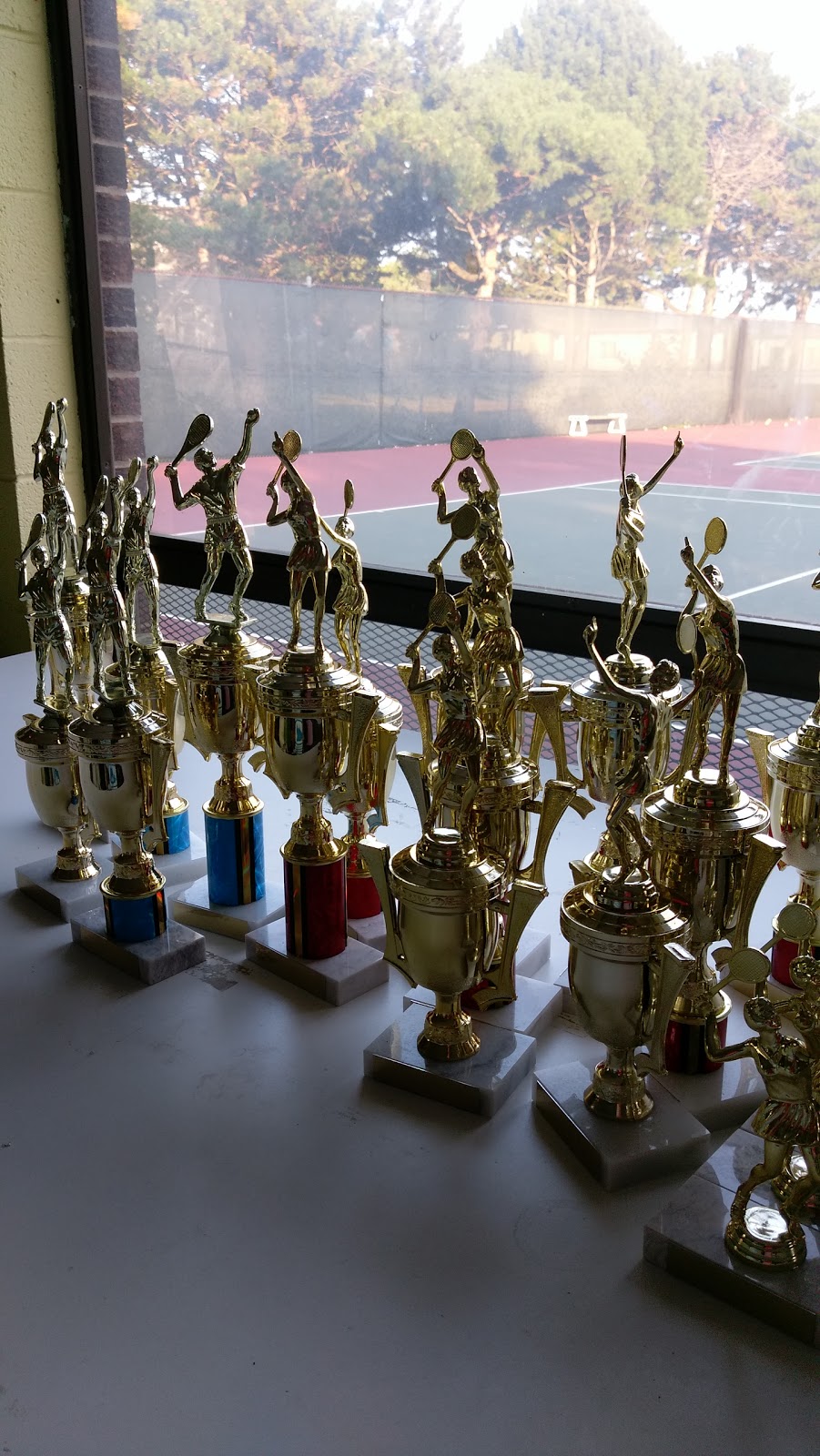 Applewood Tennis Club | 3505 Golden Orchard Dr, Mississauga, ON L4Y 3H7, Canada | Phone: (905) 238-9901