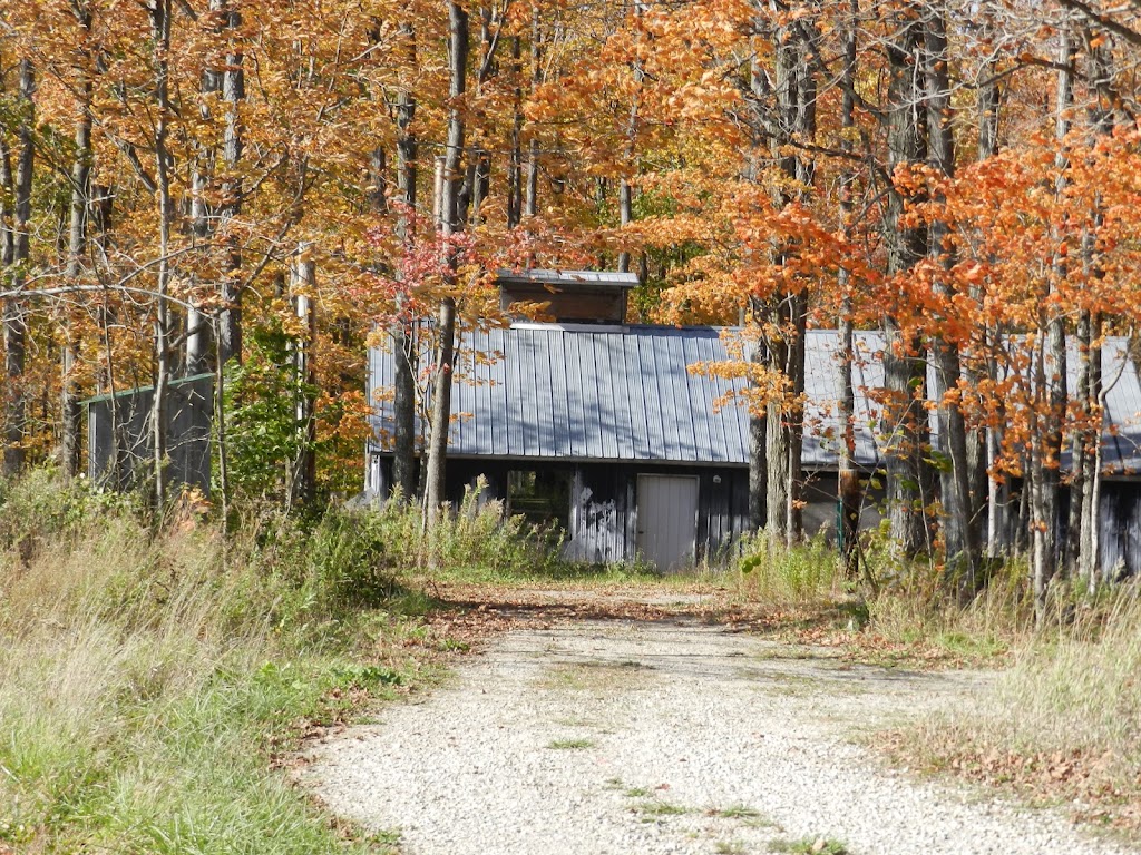 Sand Hills Maple Products | 1090 Manser Rd, Wellesley, ON N0B 2T0, Canada | Phone: (519) 656-3347