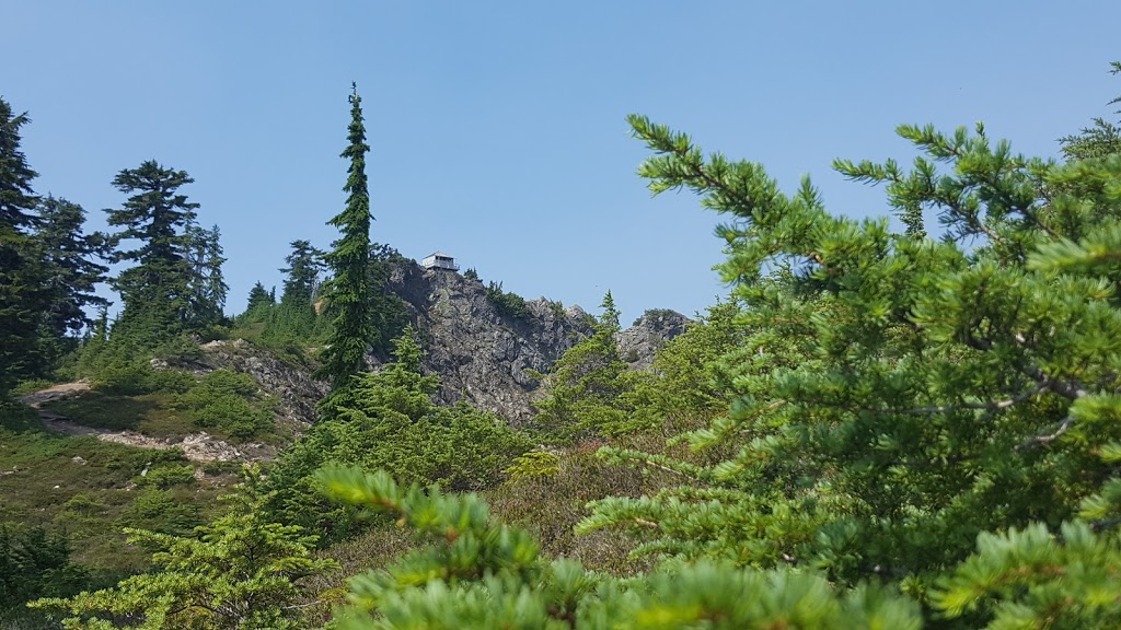 Park Butte Trailhead | Pacific NW Trail, Concrete, WA 98237, USA