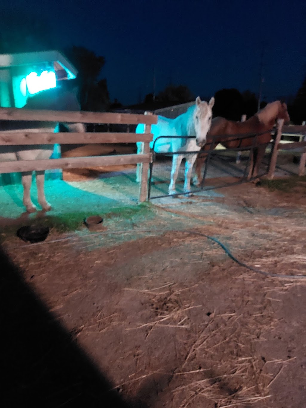 Riding Hood Stables | 129 Blessington Rd, Corbyville, ON K0K 1V0, Canada | Phone: (613) 848-7474