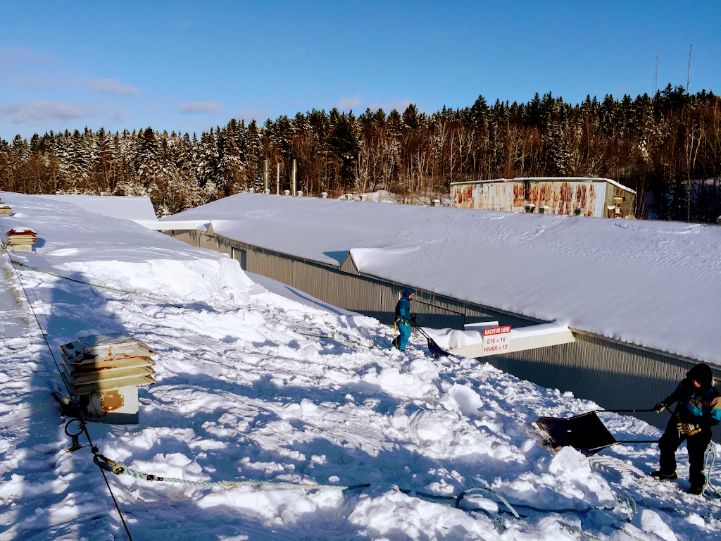 Déneigement toiture Pro Québec | 121 Rue des Merles, Québec, QC G1E 5M5, Canada | Phone: (581) 888-8306