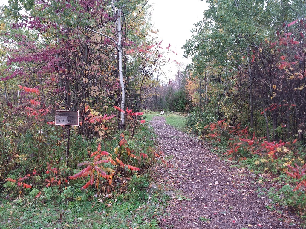 Pioneer Cemetery | 1325 Side Rd 3, Milton, ON L0P, Canada