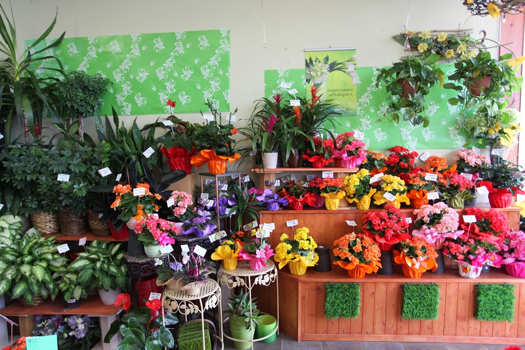 Fleuriste La Pousse Verte | 3280 Ch Ste-Foy, Québec, QC G1X 1S1, Canada | Phone: (418) 659-3770