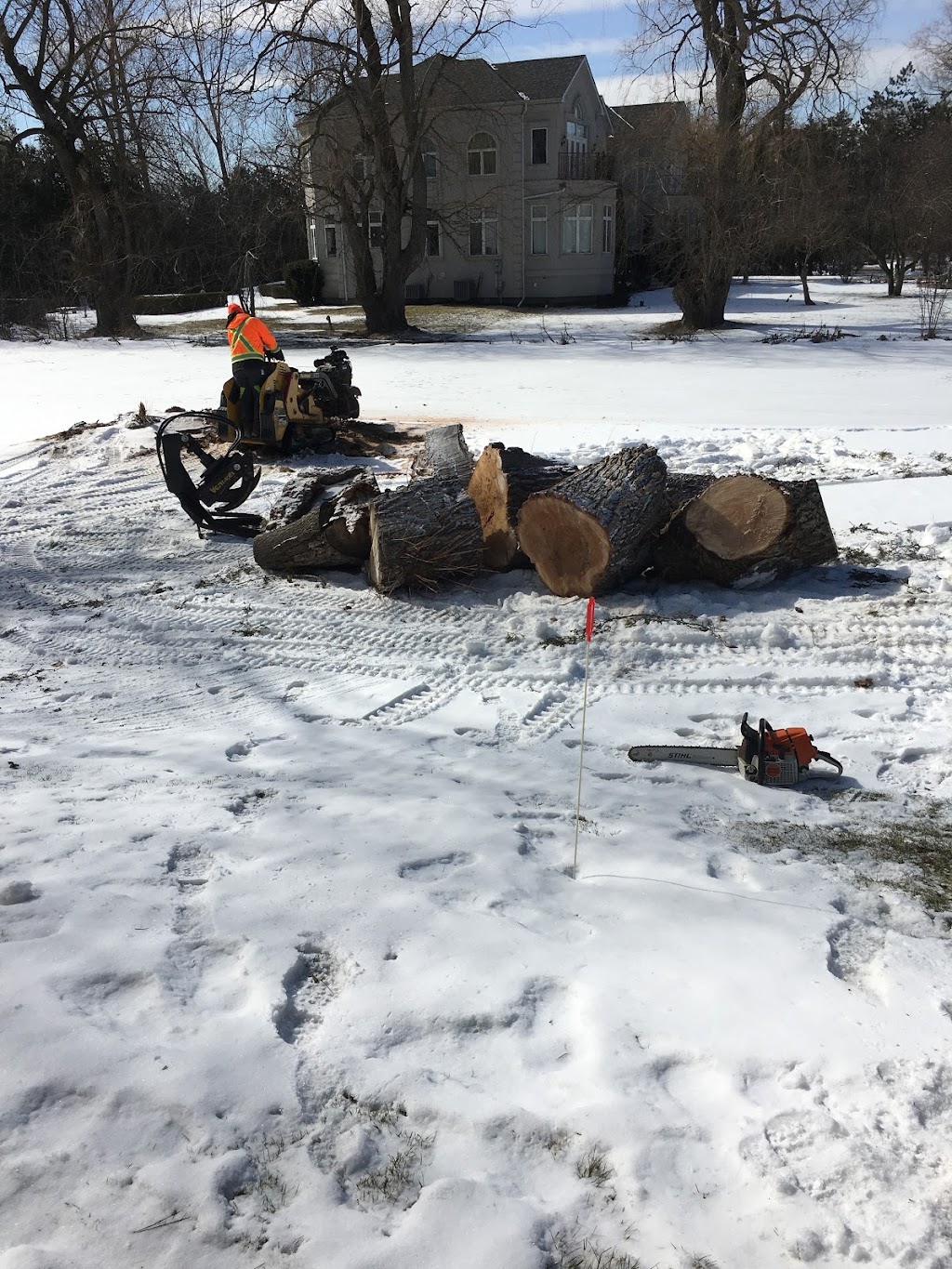 Tree Pro | Tree Removal & Stump Grinding | 169 Alderwood St, Whitchurch-Stouffville, ON L4A 5E6, Canada | Phone: (416) 568-6673