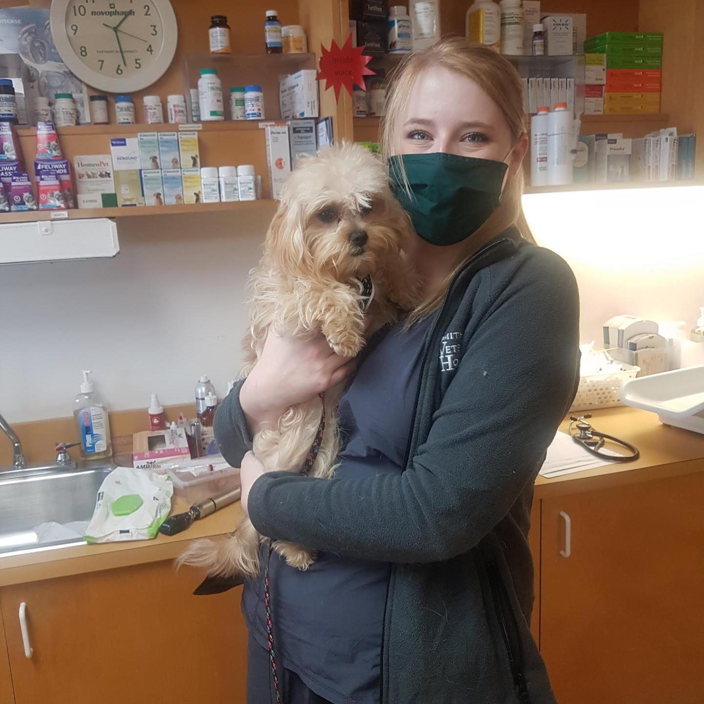 Smith Veterinary Hospital | 8 Highland Park Blvd, Thornhill, ON L3T 1B1, Canada | Phone: (905) 881-8310
