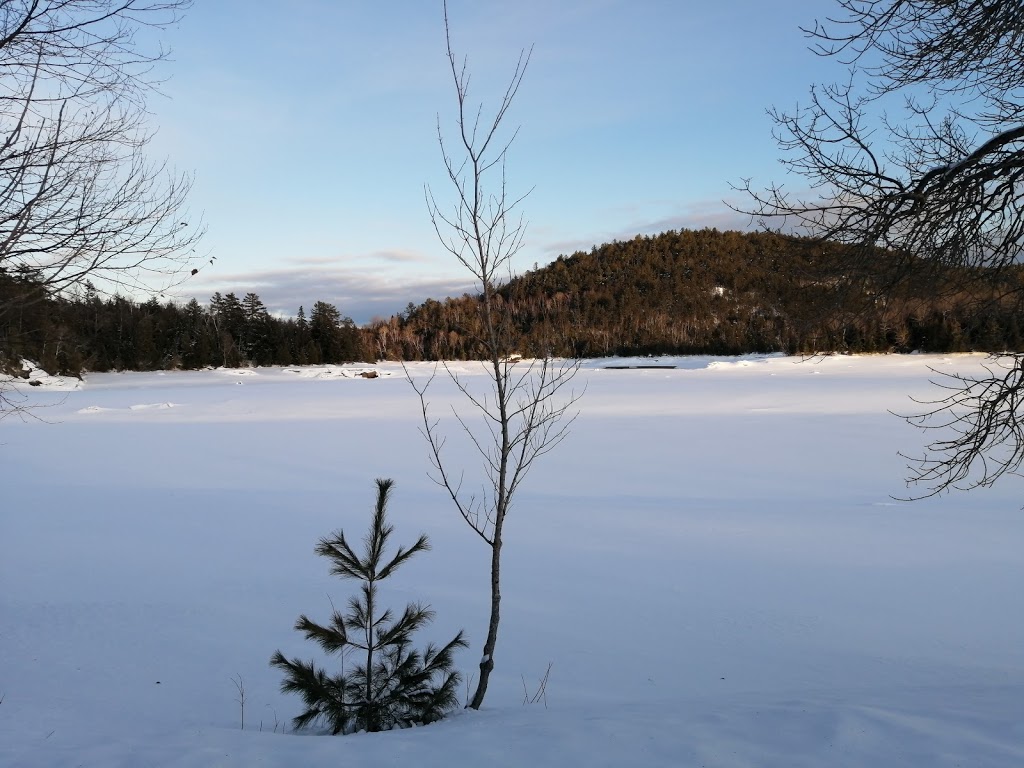 Pourvoirie Laurentides Chalets chez Gaston | 61 CH Du Lac Du Cerf, Notre-Dame-de-Pontmain, QC J0W 1S0, Canada | Phone: (819) 597-2460