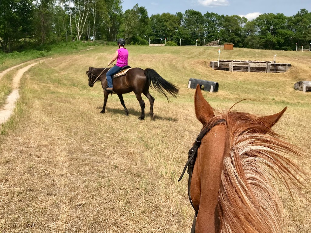 Glen Oro Farm | 2574 10 Line N, Hawkestone, ON L0L 1T0, Canada | Phone: (705) 326-7244
