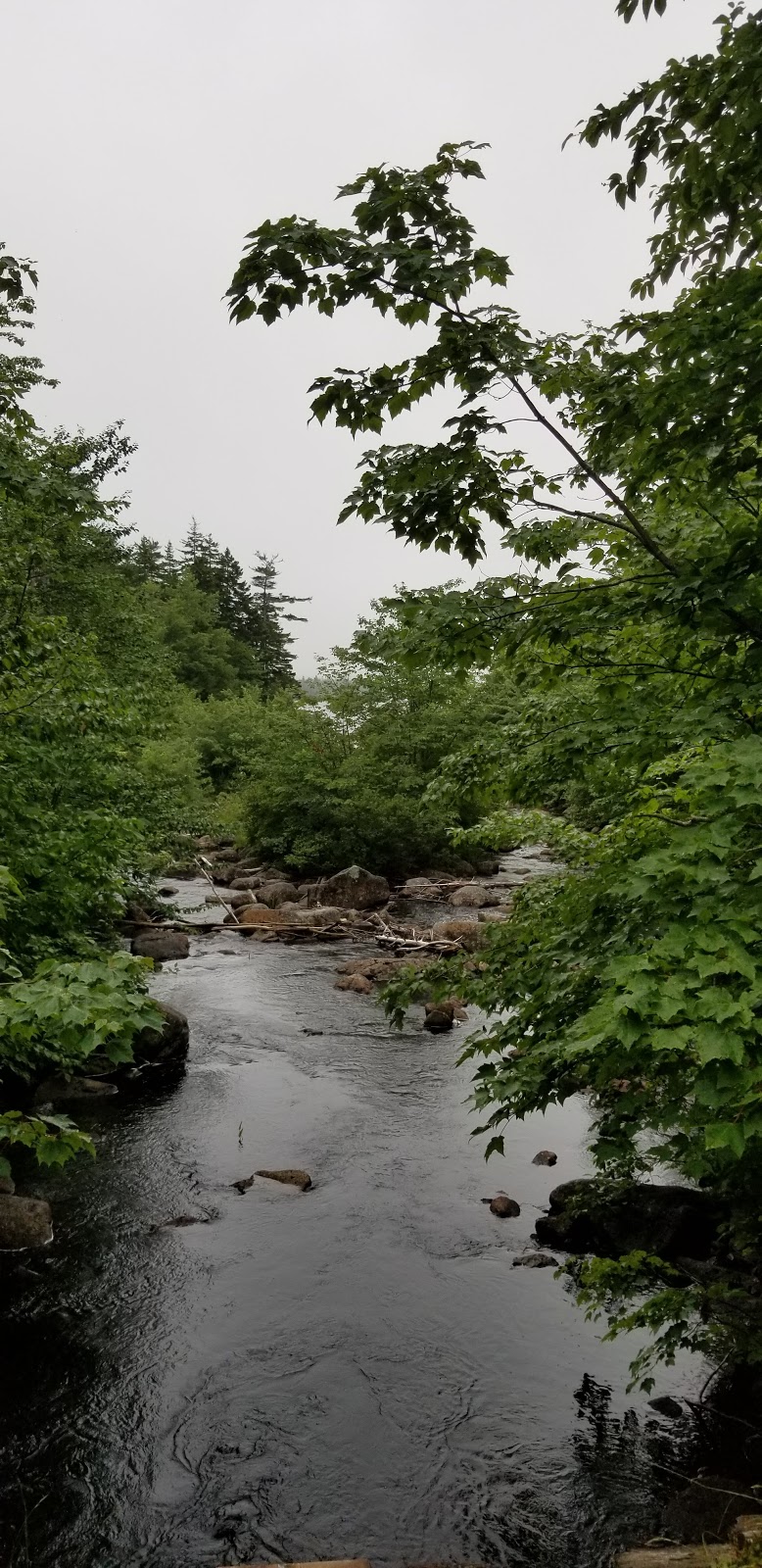 Pockwock River Falls | Halifax, NS B4B 1P2, Canada