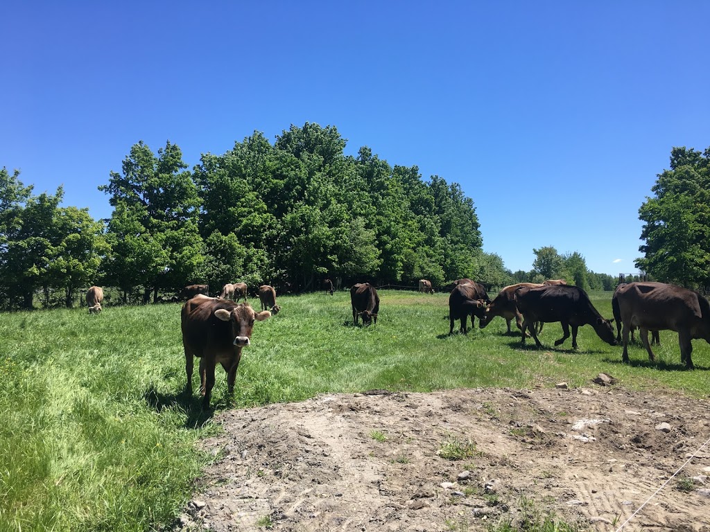 Fromagerie des Grondines | 274 2e Rang E, Grondines, QC G0A 1W0, Canada | Phone: (418) 268-4969