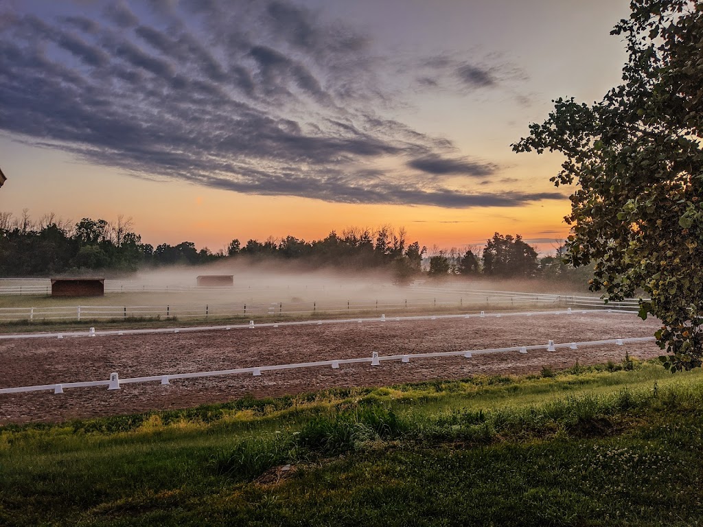 LIV Stables | 1751 Concession 2 Rd W, Lynden, ON L0R 1T0, Canada | Phone: (866) 812-3461