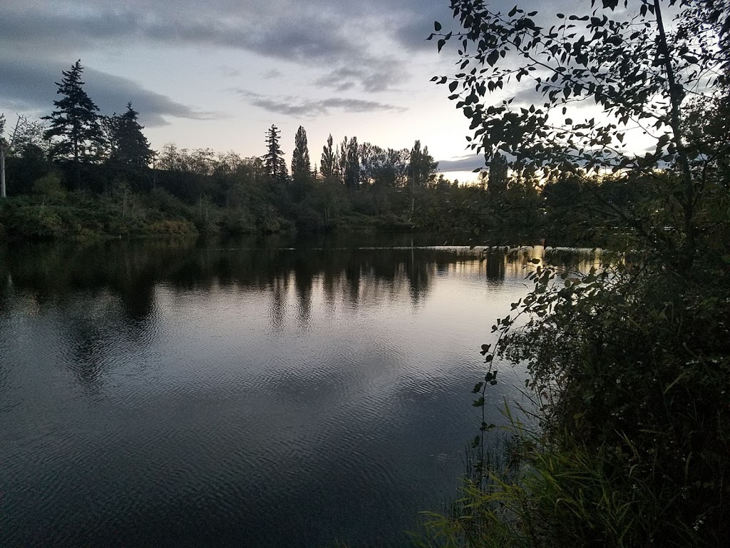 Sunset pond park | 3424-3462 James St, Bellingham, WA 98226, USA