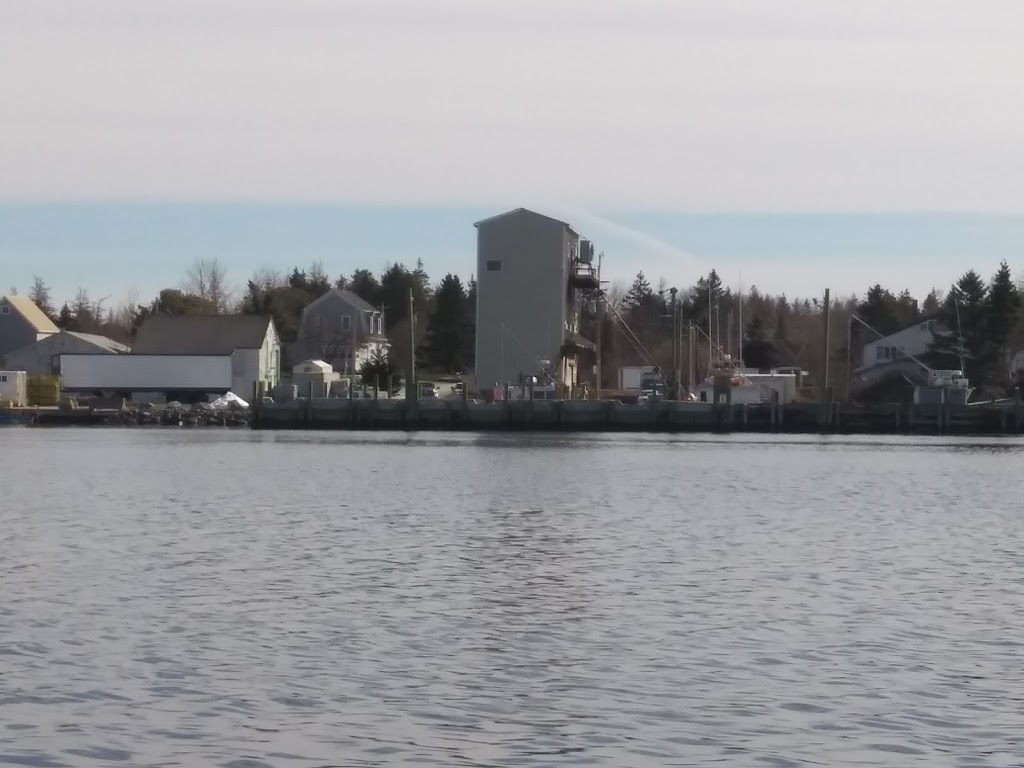 RBN Fisheries Limited | 65 Newell Rd, Mill Village, NS B0J 2H0, Canada | Phone: (902) 677-2491