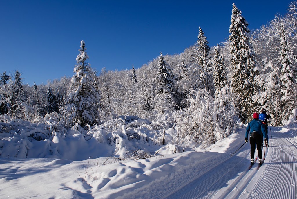 Gatineau Park | Trail 50, Pontiac, QC J0X 2G0, Canada | Phone: (819) 827-2020